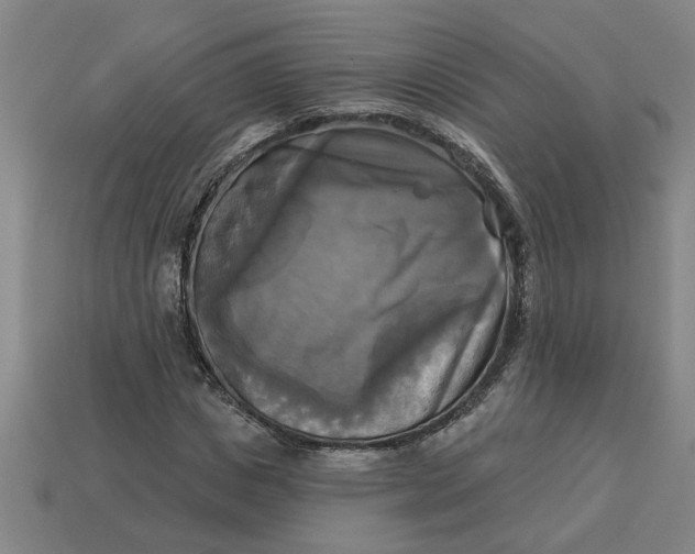 X0000113300825200910051040