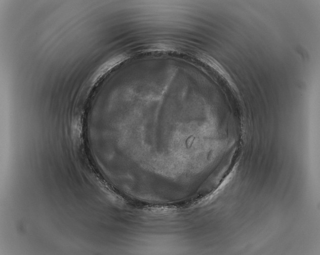 X0000113300826200910051040