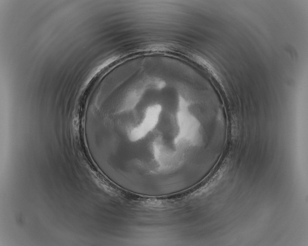 X0000113300827200910051040