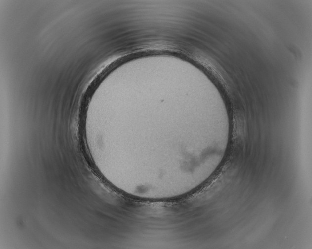 X0000113300828200910051040