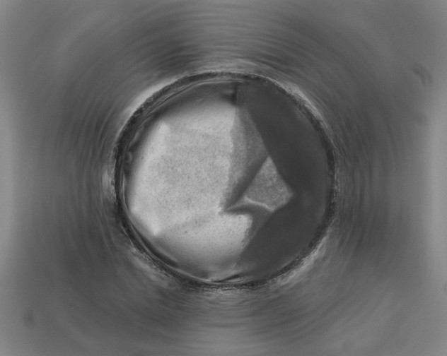 X0000113300830200910051040