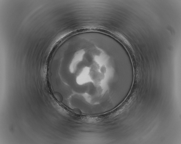 X0000113300831200910051040