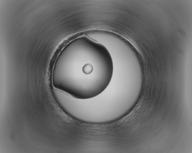 X0000113300832200910051040