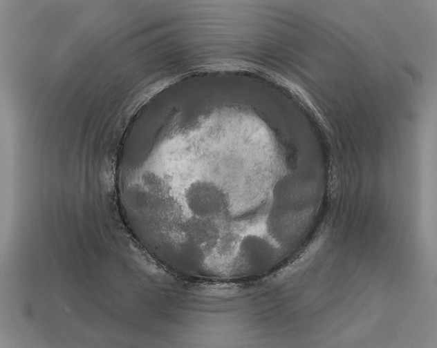 X0000113300833200910051040