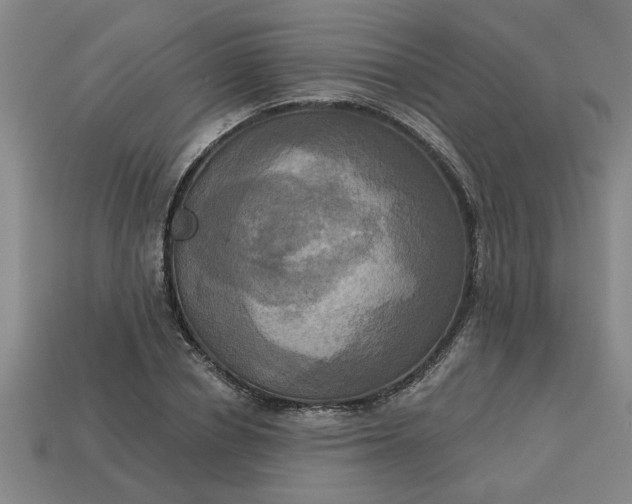 X0000113300834200910051040