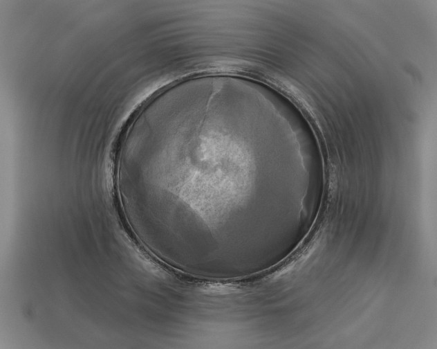 X0000113300835200910051040