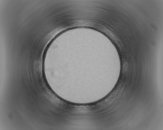 X0000113300836200910051040