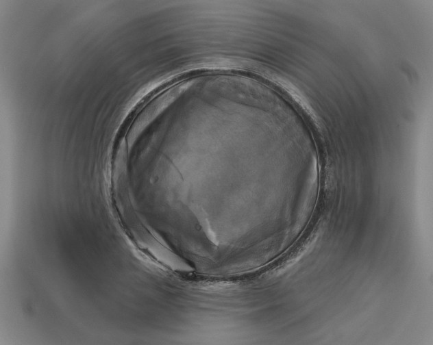 X0000113300837200910051041