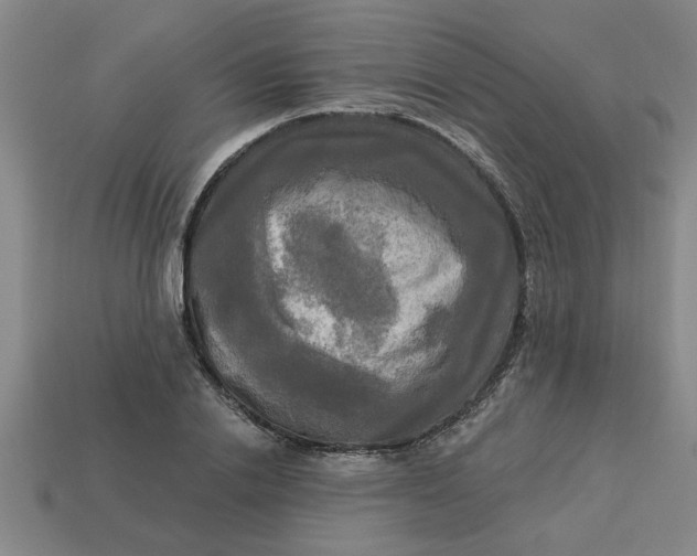 X0000113300838200910051041