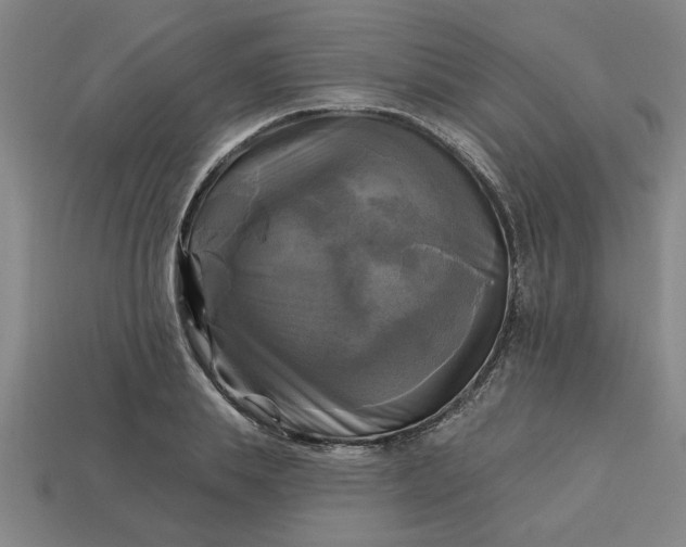 X0000113300839200910051041