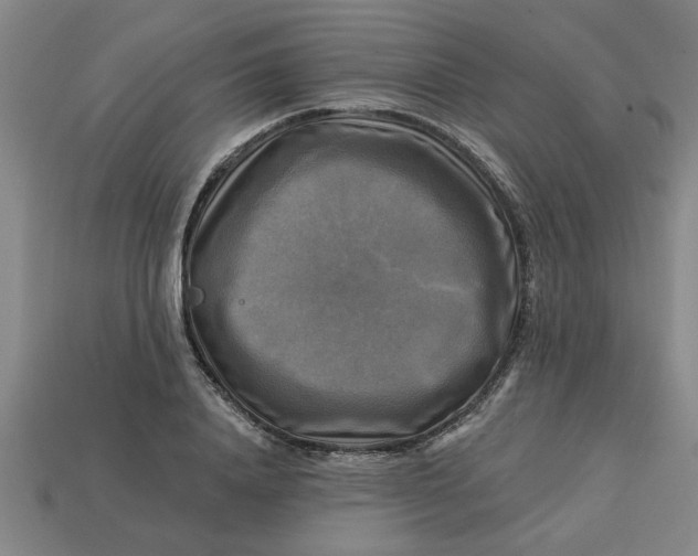 X0000113300840200910051041