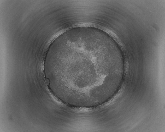 X0000113300841200910051041