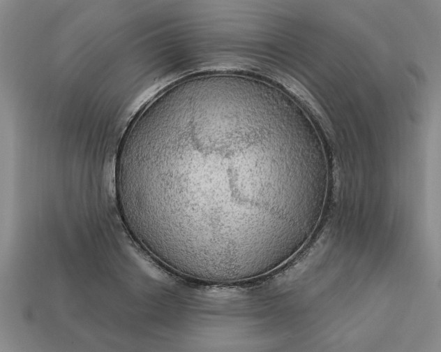 X0000113300842200910051041