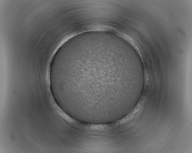 X0000113300843200910051041