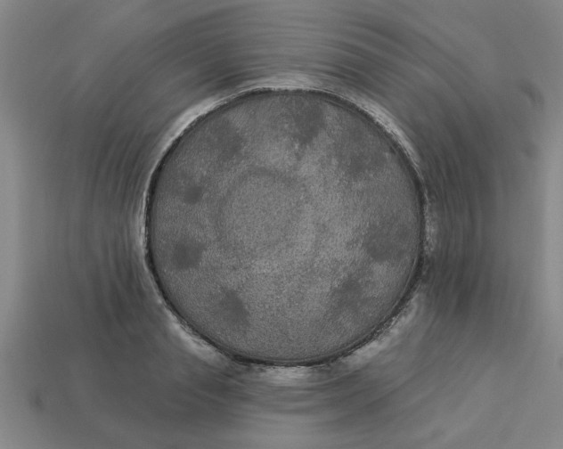 X0000113300845200910051041