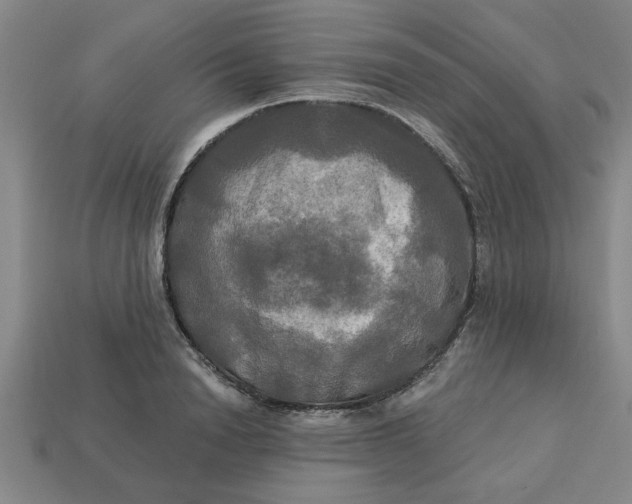 X0000113300846200910051041