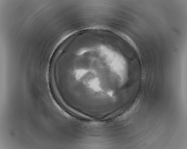 X0000113300847200910051041