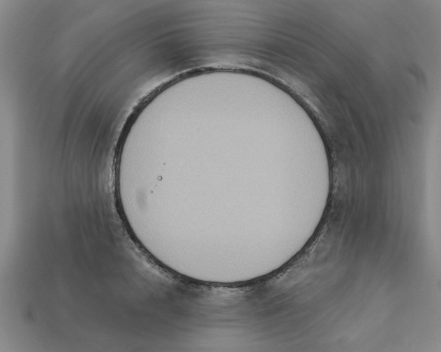 X0000113300848200910051041