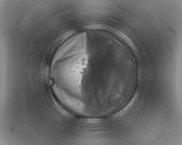 X0000113300849200910051041