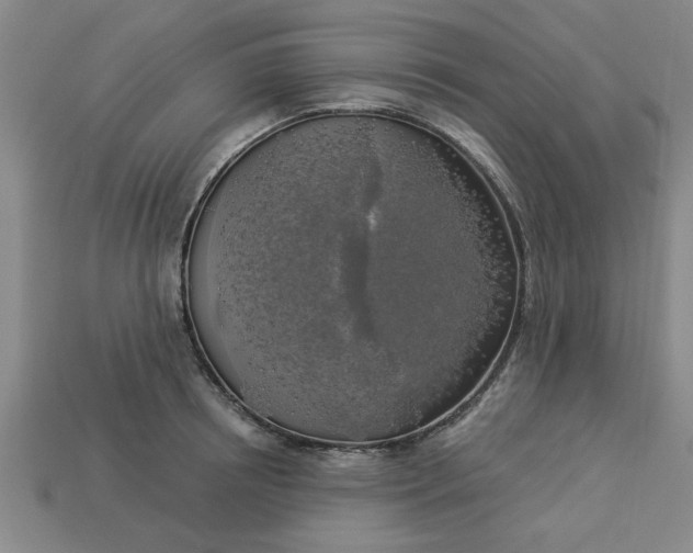 X0000113300850200910051041