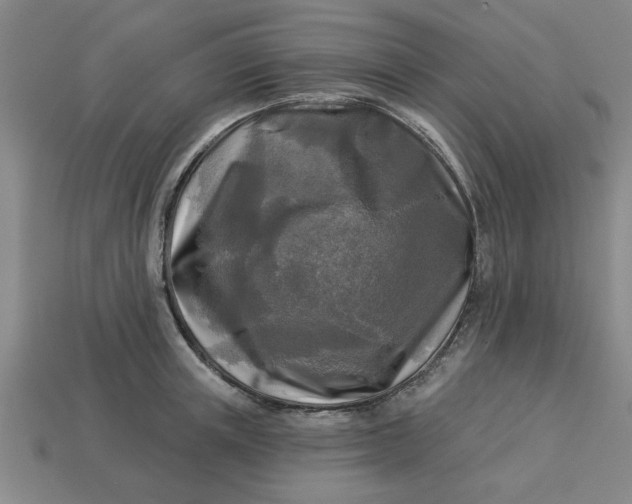 X0000113300851200910051041