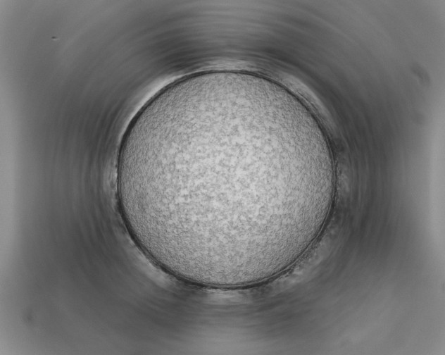 X0000113300852200910051041