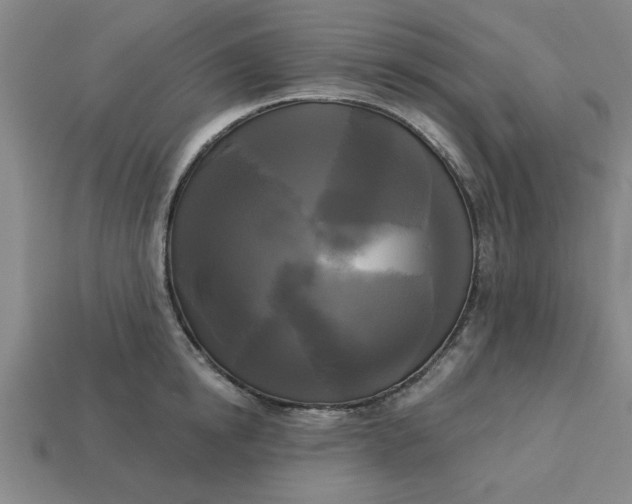 X0000113300854200910051041