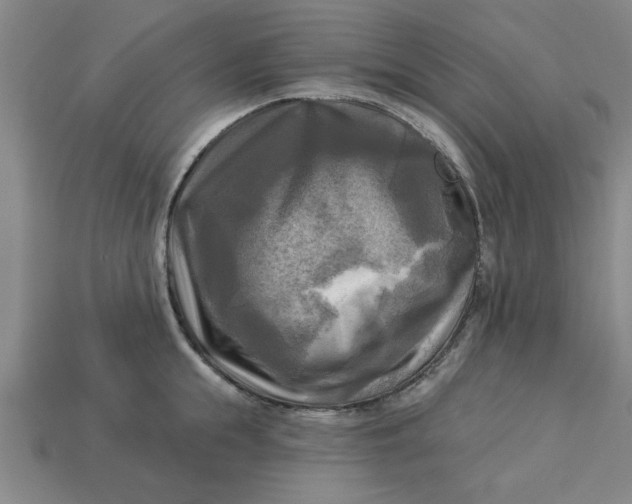 X0000113300855200910051041