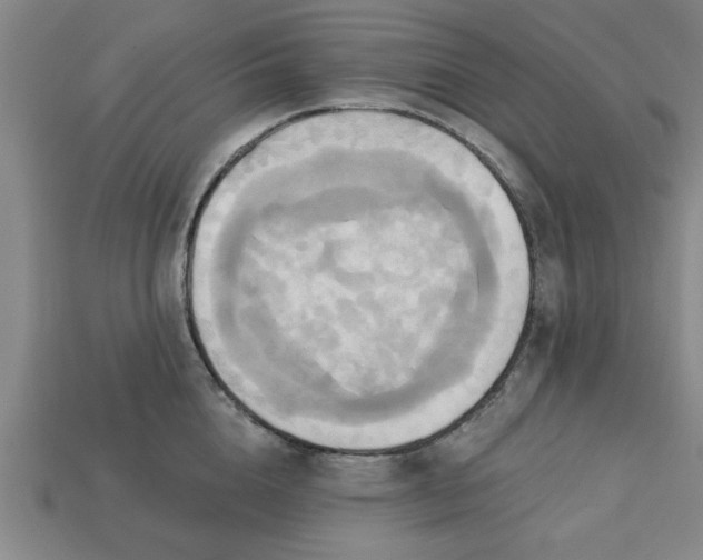 X0000113300856200910051041