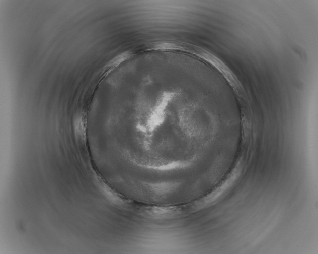 X0000113300857200910051041