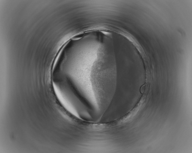 X0000113300858200910051041