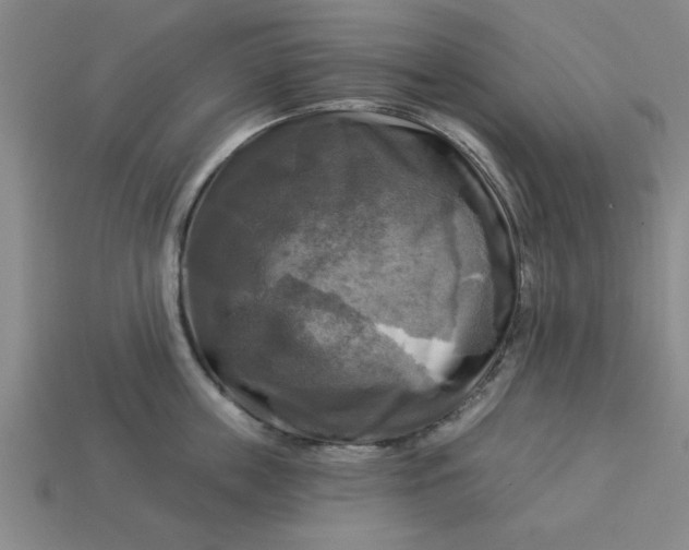 X0000113300859200910051041