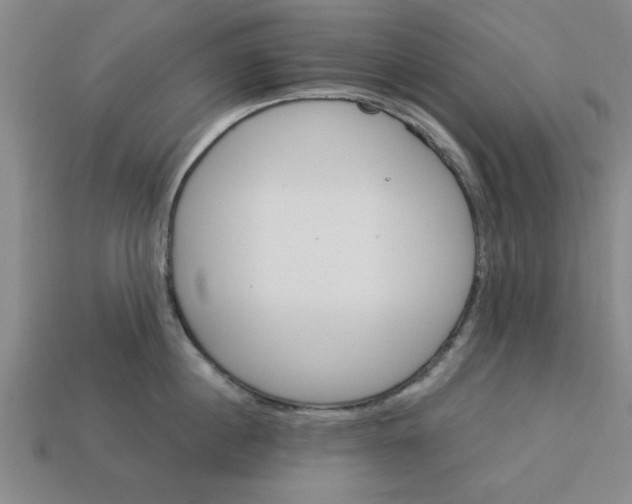 X0000113300860200910051041