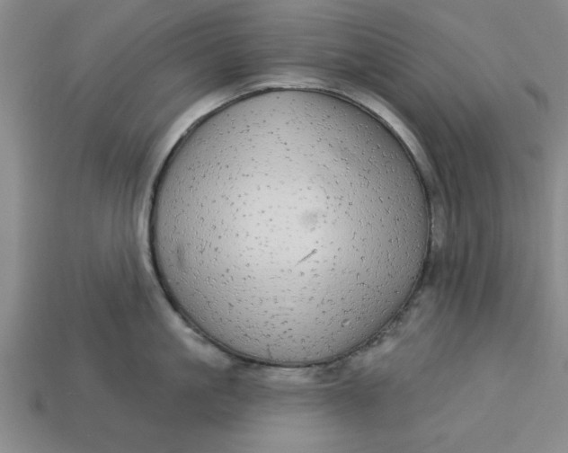 X0000113300861200910051041