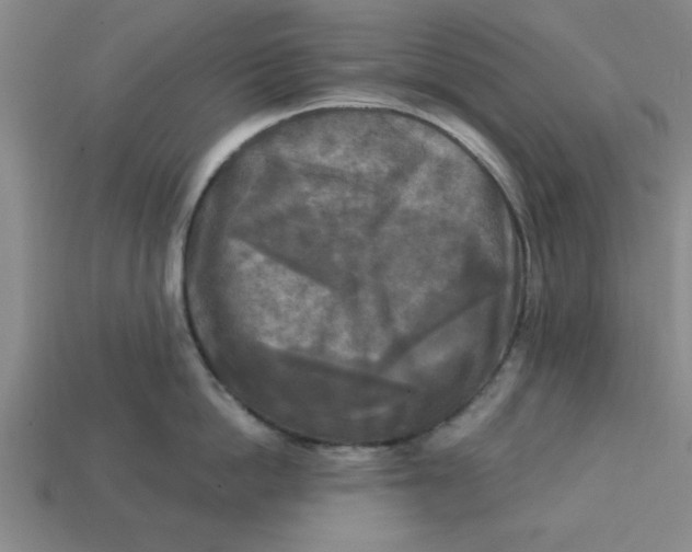 X0000113300862200910051041