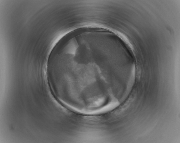 X0000113300863200910051041