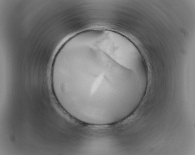 X0000113300864200910051041