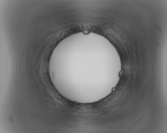 X0000113300865200910051040