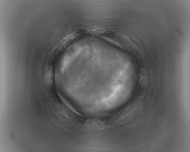 X0000113300866200910051040