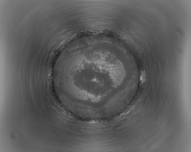 X0000113300867200910051040