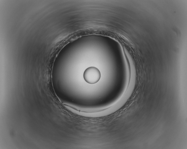 X0000113300869200910051040