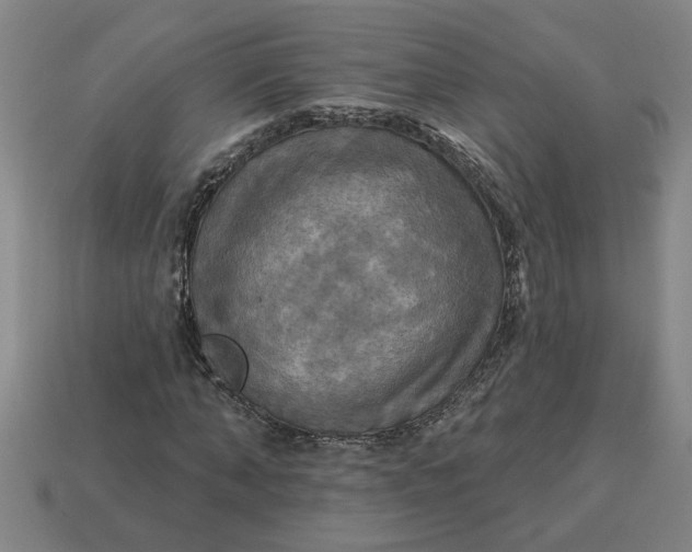 X0000113300870200910051040