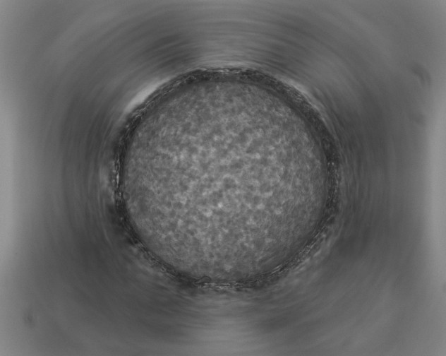 X0000113300871200910051040