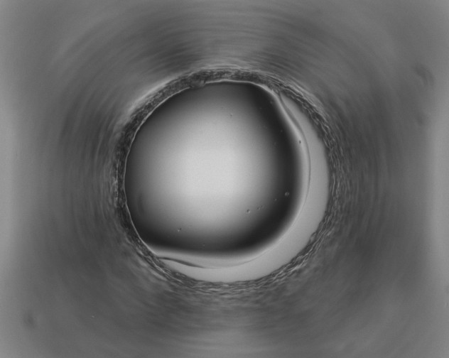 X0000113300872200910051040