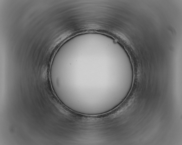 X0000113300873200910051040