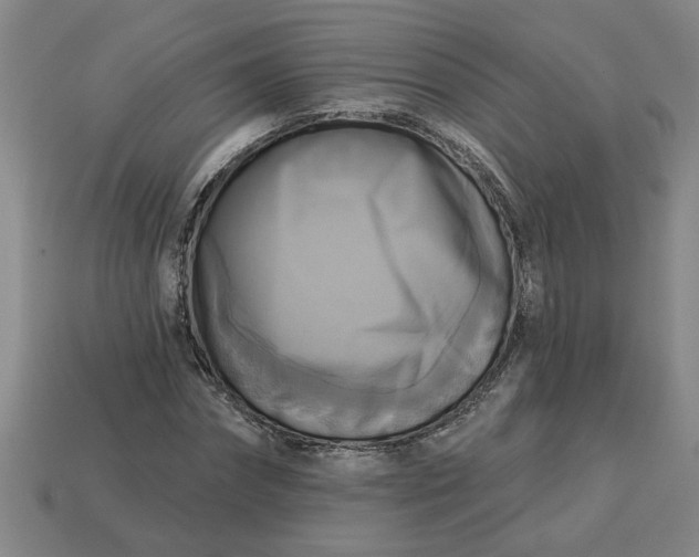 X0000113300874200910051040