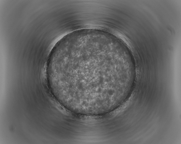 X0000113300875200910051040