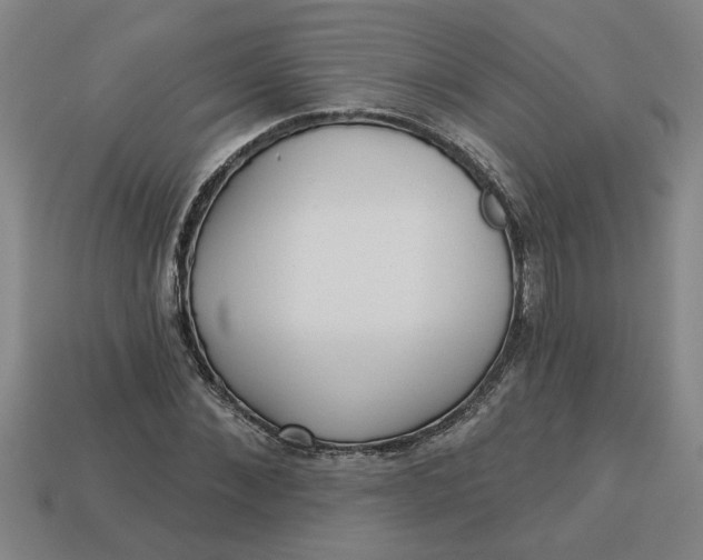 X0000113300876200910051040