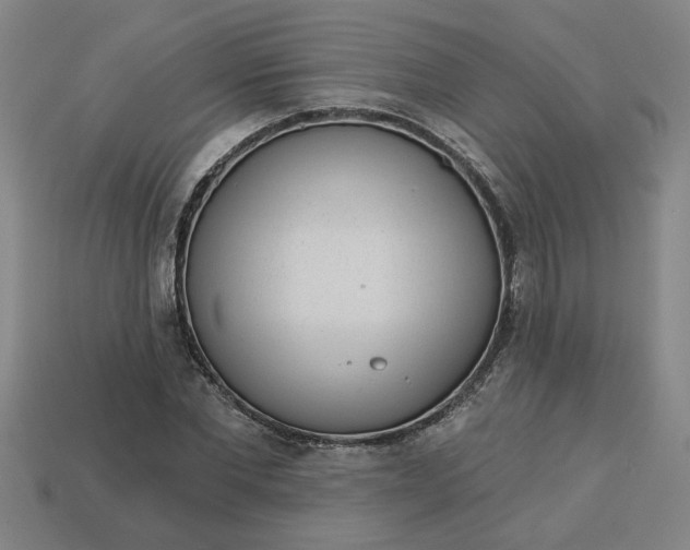 X0000113300877200910051040