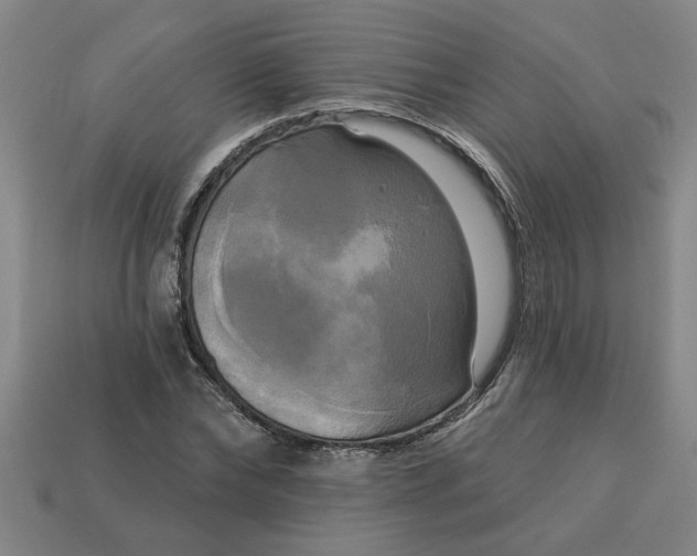 X0000113300878200910051040